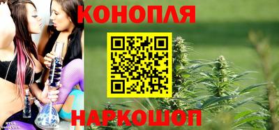 spice Дубна