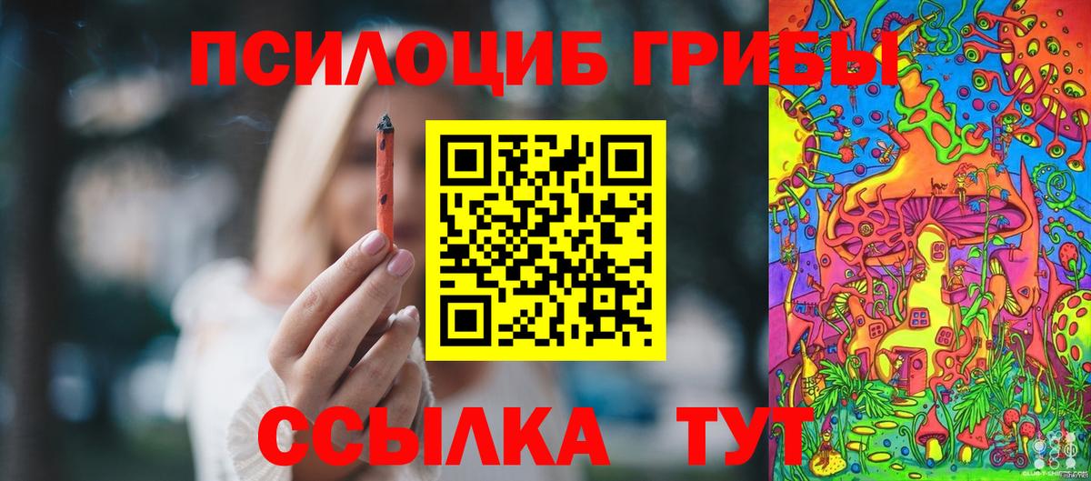 Галлюциногенные грибы мицелий Михайловка