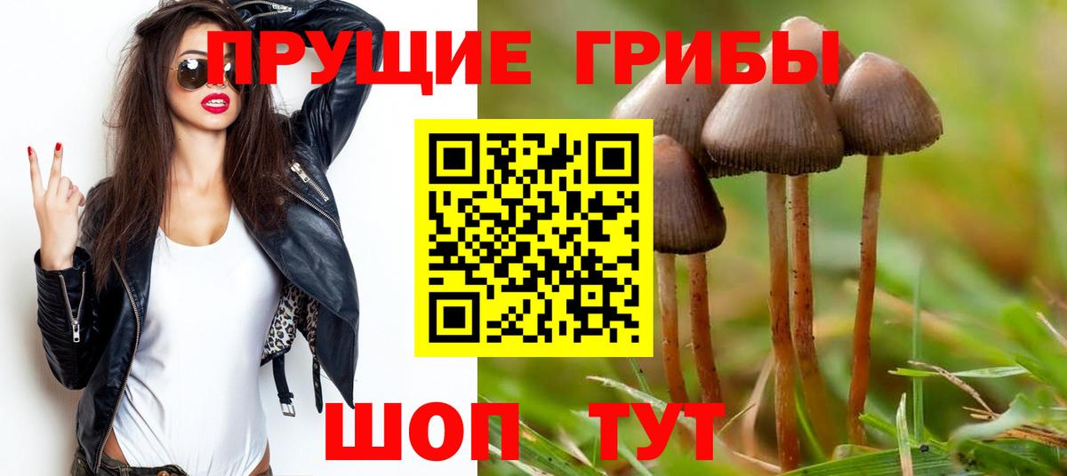 Псилоцибиновые грибы Cubensis  Вход с VPN  Михайловка 